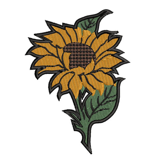 Sunflower patch
